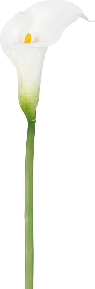 Easyplants | Kunst lelie 84 cm wit | Zijde | Nepbloemen | wit | Onderhoudsvrij | Kant-en-klaar