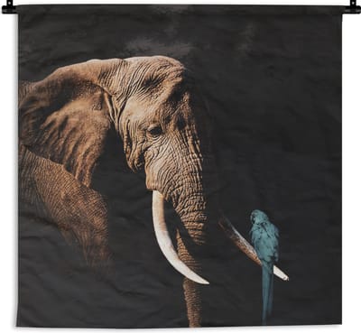 Wandkleed - Wanddoek - Olifant - Papegaai - Tanden - 150x150 cm - Wandtapijt