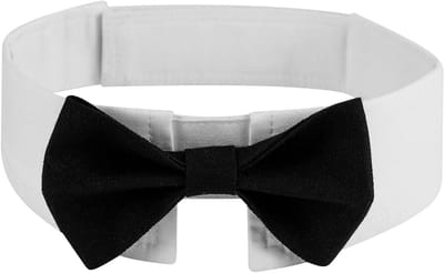 Elegante zwarte strikband voor katten en honden - Verstelbare halsband voor huisdieren