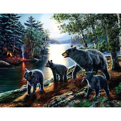 5D DIY diamant schilderij  Beer familie in Moonligt Lake  diamant borduurwerk kruissteek 20X30CM gray