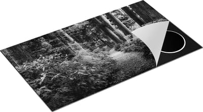KitchyMist Inductie Beschermer Voetpad in het Bos - Zwart Wit - 89,6x51,6 cm - Afdekplaat Inductie - Kookplaat Beschermer - Inductie Mat