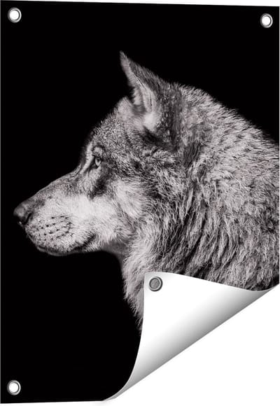 Gards Tuinposter Wolvenkop - Wolf - Zwart Wit - 40x50 cm - Tuindoek - Tuindecoratie - Wanddecoratie buiten - Tuinschilderij