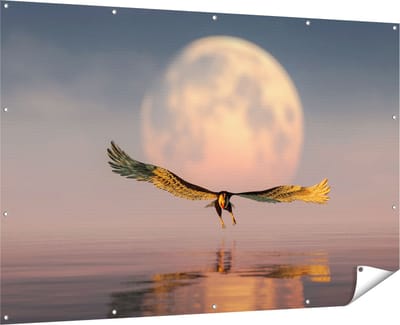 Gards Tuinposter Adelaar boven het Water bij de Maan - 180x120 cm - Tuindoek - Tuindecoratie - Wanddecoratie buiten - Tuinschilderij