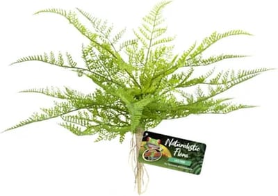 Zoo Med Lace Fern kunstplant voor terrarium reptielen en amfibieën