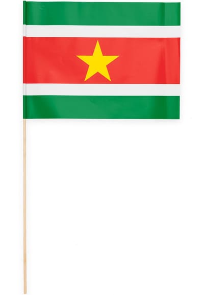 10 Papieren zwaai vlaggen 20 x 30 centimter Suriname