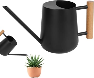 Gieter 1 liter-gieters voor binnen zwarte gieter van 1 liter - kleine gieter lange tuit kamerplant huis plant bonsai zwart