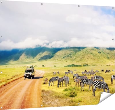 Gards Tuinposter Safari Auto tussen de Zebra's - 150x120 cm - Tuindoek - Tuindecoratie - Wanddecoratie buiten - Tuinschilderij