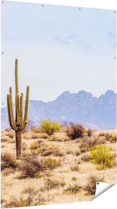 Gards Tuinposter Cactussen in de Woestijn - 120x180 cm - Tuindoek - Tuindecoratie - Wanddecoratie buiten - Tuinschilderij