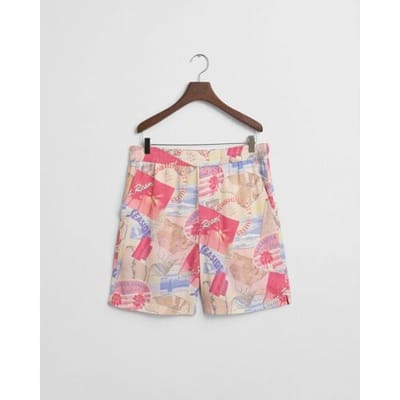 Gant Bermuda Resort Fantasy Shorts Fresh Blue / male