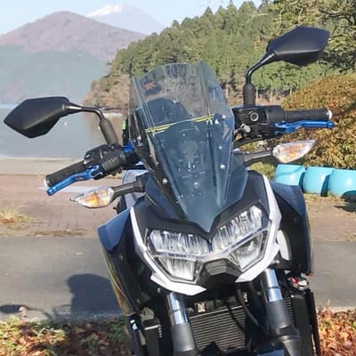 Windscherm Deflector voor Kawasaki Z400 en Z250 (2019-2022) - Licht Rook, Bescherming en Stijl