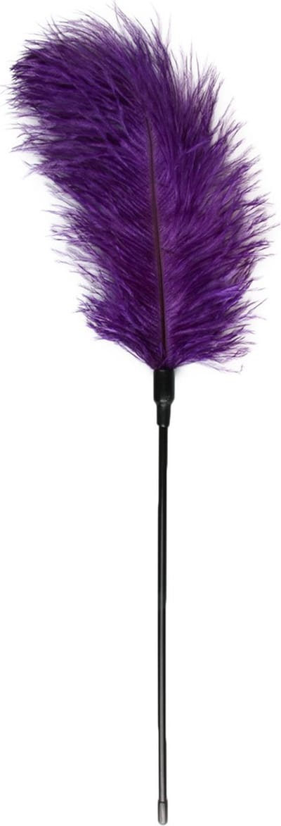 EasyToys - Paarse, Lange Kietelaar met Veren - Tickler - BDSM - Sex Toys voor Vrouwen en Mannen - Paars