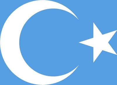 Vlag Oeigoeren 70x100cm