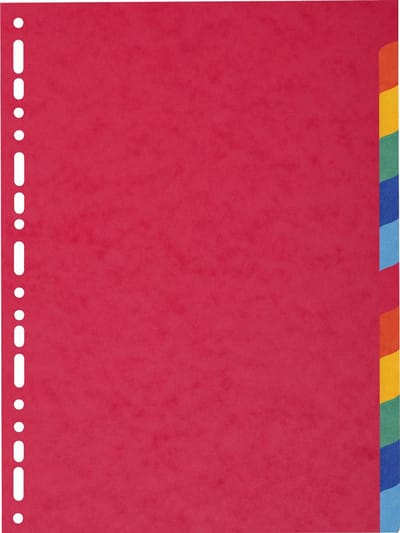 Exacompta Tabbladen gerecycleerd karton 220g - 12 tabs - A4 maxi - Geassorteerd - 2112E