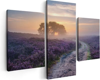 Artaza Canvas Schilderij Drieluik Pad in de Weide van de Veluwe - 90x60 - Foto Op Canvas - Canvas Print