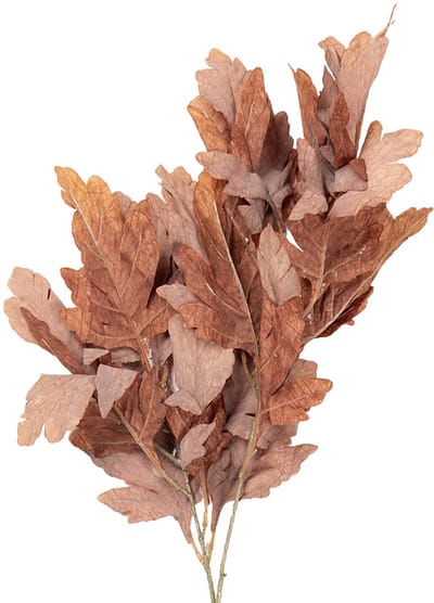 Clayre & Eef Kunstbloem 104 cm Bruin Kunststof