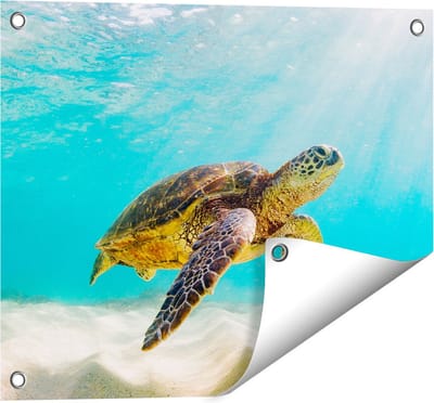 Gards Tuinposter Schildpad Zwemt in de Helder Blauwe Zee - 50x40 cm - Tuindoek - Tuindecoratie - Wanddecoratie buiten - Tuinschilderij