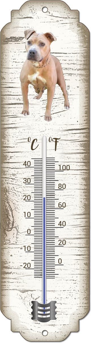 Thermometer: Amerikaanse Stafford | Hondenras | Temperatuur binnen en buiten | -25 tot +45C