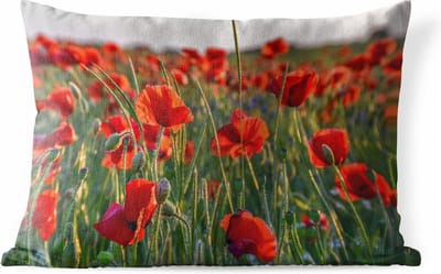 Buitenkussens - Tuin - Klaprozen in het veld - 50x30 cm