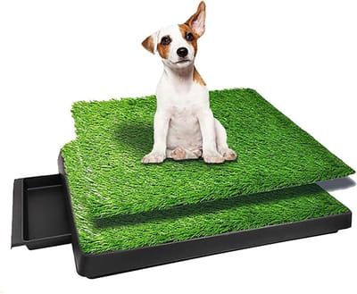Dog Toilet met Kunstgras - 63 x 51 cm - Inclusief Tray en 2 Kunstgrassen voor Balkon/Garden/Toilet