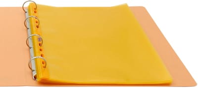Favorit 100206798 sheet protector 220 x 300 mm Polypropyleen (PP) 25 stuk(s)