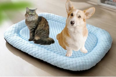 KZQ Koelmat voor Katten en Kleine Honden, Zelfkoelend Textiel, Lichtgewicht, Zacht en Comfortabel, Lekvrij, Wasbaar, Geschikt voor Binnen en Buiten, Blauw, Medium