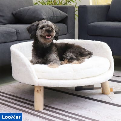 Hondenbank - LooMar Hondenzetel - Hondensofa - Kattenstoel - Hondenbench - Hondenbed - Hondenstoel - Dierenfauteuil - Wit - met poten