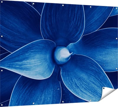 Gards Tuinposter Blauwe Agave Plant - Bloem - 160x120 cm - Tuindoek - Tuindecoratie - Wanddecoratie buiten - Tuinschilderij