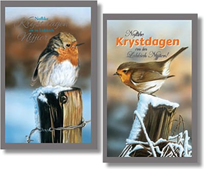 MGPcards - 2 doosjes à 10 Luxe dubbele wenskaarten - Friese tekst - Kerst/Nieuwjaar - Foliebewerking - Witte envelop - 10.5 x 16 cm - 2 Motieven per doosje