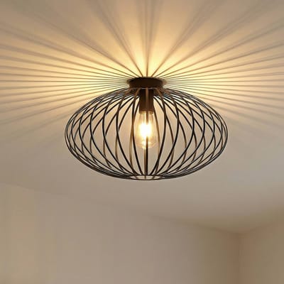 Lindby - plafondlamp - 1licht - IJzer - H: 28.5 cm - E27 - zwart