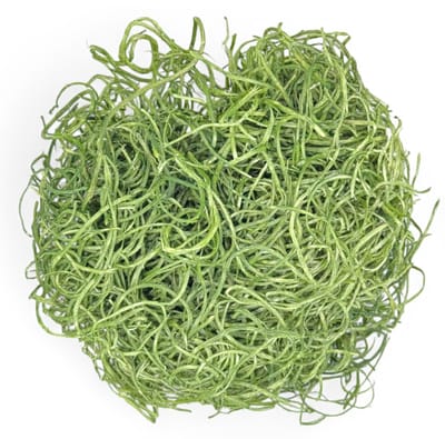 Dailygoods- Paasgras 30 g - Decoratief Gras - Houten Vezels - Knutselmateriaal - Feestelijke Decoraties - Diverse Kleuren - Decoratiegras