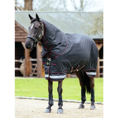 Waterdichte paardendeken LeMieux Arika Storm-Tek 350g