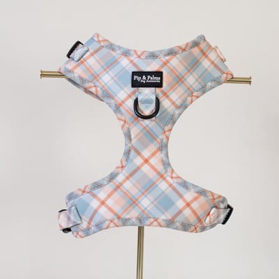 Pip & Palms - Hondenharnas Pawsome Plaid - Blauw - Maat XXS - Hondentuig - Verstelbaar - Y Tuig Hond - Zachte Voering - voor Kleine honden
