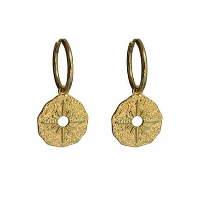 FlowJewels - oorbellen - stainless steel - goud kleurig