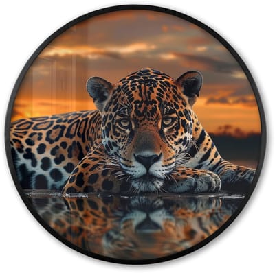 Poster in lijst Rond - Fotolijst 60x60 cm - Posters - Natuur - Luipaard - Dier - Zonsondergang - Modern - Ronde posterlijst zwart - Decoratie - Wanddecoratie woonkamer - Muurdecoratie slaapkamer