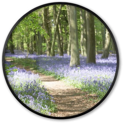 Poster in lijst Rond - Fotolijst 60x60 cm - Posters - Bos - Pad - Bloemen - Paars - Groen - Natuur - Ronde posterlijst zwart - Decoratie - Wanddecoratie woonkamer - Muurdecoratie slaapkamer