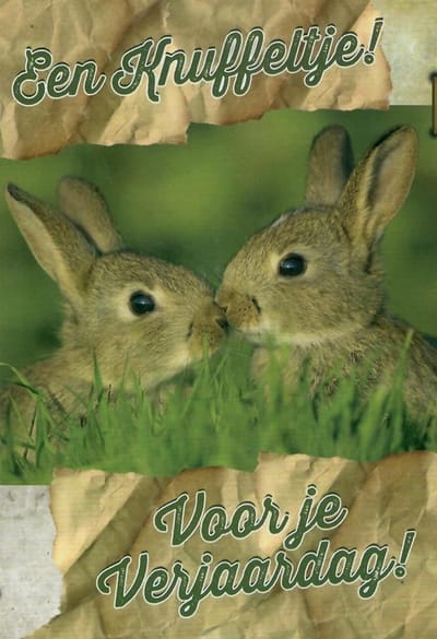 Een knuffeltje! Voor je verjaardag! Van harte gefeliciteerd! Twee leuke konijnen samen in het gras die lief bij elkaar zitten. Een leuke kaart om zo te geven of om bij een cadeau te voegen. Een dubbele wenskaart inclusief envelop en in folie verpakt.