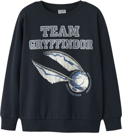 NAME IT - TKMTHAT HARRYPOTTER SWEAT BRU NOOS WAB - Jongens - Sweaters