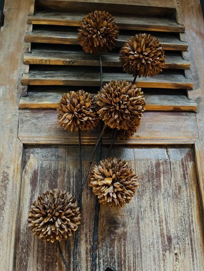 Decoratieve Tak | Lichtbruin | Pompom | Woonaccessoires | Woonaccessoire | Vintage | Oud | Landelijk | Interieur | Industrieel | Wonen | Inrichting | Decoratie | Deco | Decoratief | Frans luikje | Woondecoratie | Woon | Woonkamer | Stoer