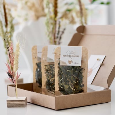 Lottea Giftset Theeproeverij 'Zomertijd' - ijsthee, thee proeverij pakket, thee cadeau, thee pakket, thee cadeaupakket, thee geschenkset, cadeau vriendschap, cadeau mama, bedankt cadeautje