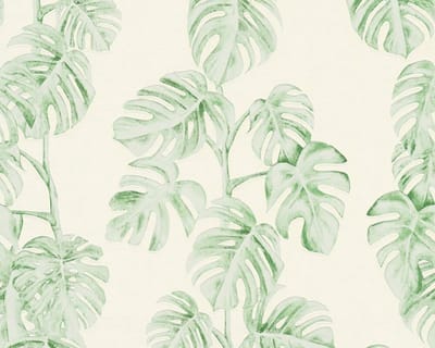 MONSTERA BLAD BEHANG | Botanisch - groen wit - A.S. Création Greenery