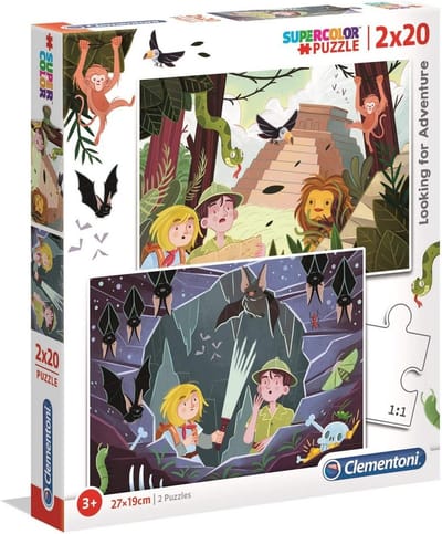 Twee Stukjes Legpuzzel 2x20 Stukjes Avontuur Zoeken
