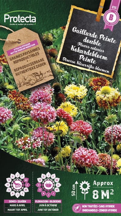 Protecta Bloemen zaden: Kokardebloem Peinte | Kobold