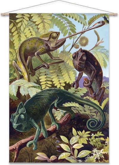 Wanddoek Kameleons (zonder houten stokken)