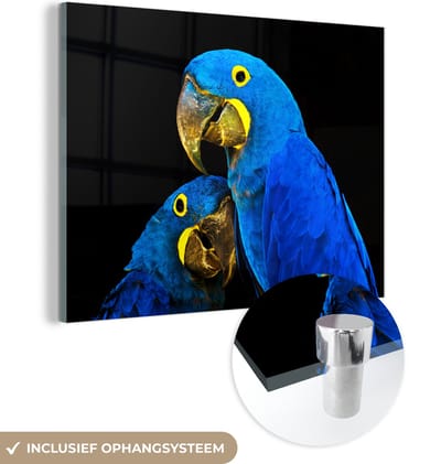 MuchoWow® Glasschilderij 120x90 cm - Schilderij acrylglas - Papegaai - Vogel - Veren - Blauw - Foto op glas - Schilderijen