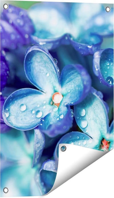 Gards Tuinposter Blauwe Lila Bloemen - Seringen - 40x60 cm - Tuindoek - Tuindecoratie - Wanddecoratie buiten - Tuinschilderij