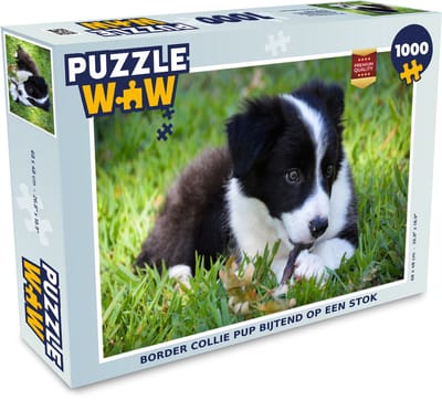 Puzzel Border collie pup bijtend op een stok - Legpuzzel - Puzzel 1000 stukjes volwassenen