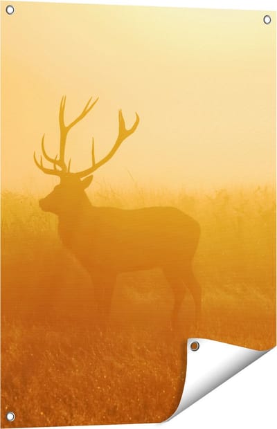 Gards Tuinposter Hert tijdens de Mist - 60x80 cm - Tuindoek - Tuindecoratie - Wanddecoratie buiten - Tuinschilderij