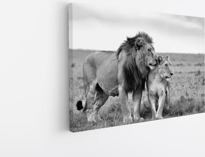 Saammp Canvas Schilderij - Leeuwen Koppel - Serangeti - Afrika - Dieren - Natuur - 45x30 - Foto op canvas - Wanddecoratie - Muurdecoratie Woonkamer - Slaapkamer decoratie - Canvas Print