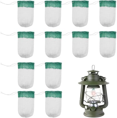 Set van 12 Glow Stocking Gaslampen voor Kamperen, Wandelen en Vissen - Groene en Witte Verlichting, Ideaal voor Buitenactiviteiten en Avonturen