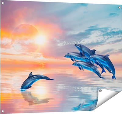 Gards Tuinposter Groep Dolfijnen Springen uit het Water - 100x80 cm - Tuindoek - Tuindecoratie - Wanddecoratie buiten - Tuinschilderij